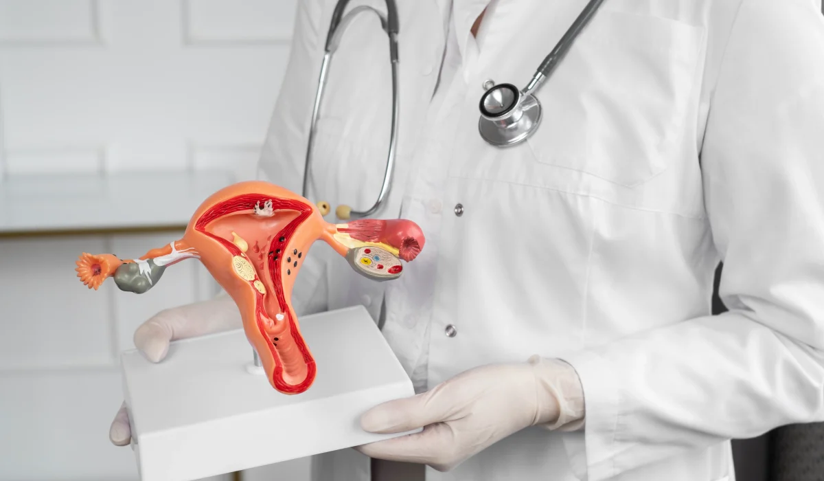 A healthcare professional in a white lab coat and stethoscope holding a detailed anatomical cross-section model of the human uterus and ovaries.